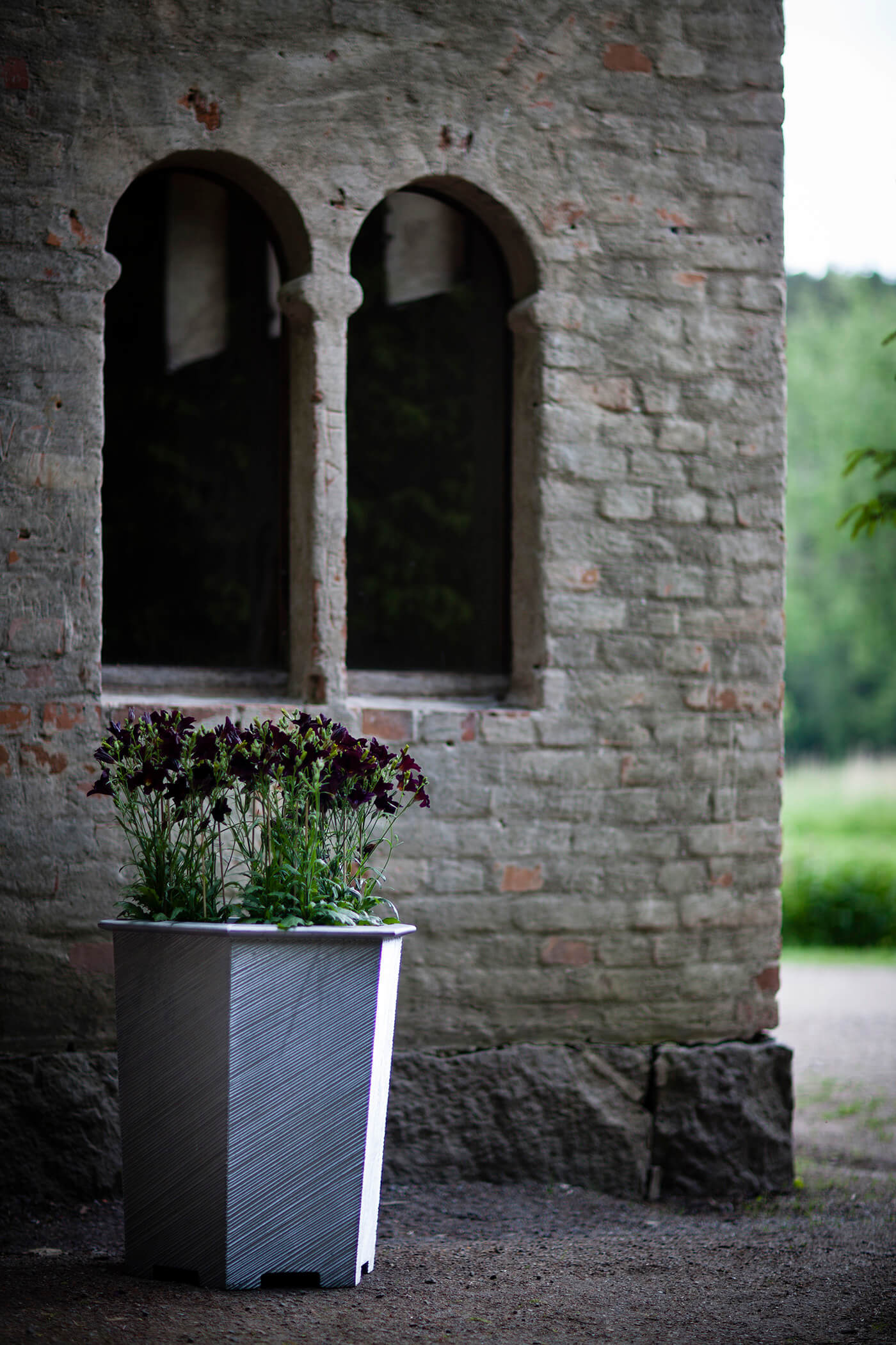 Flowerpot in front of old building